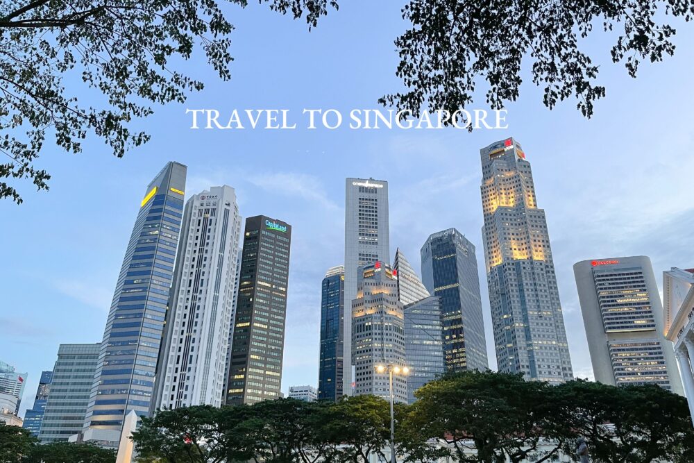 新加坡留學｜HOW I TRAVEL TO SINGAPORE 疫情期間的新加坡入境指南